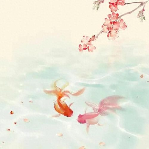 鱼鱼桌面秀(鱼鱼桌面秀侧边栏)插图36
