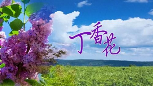 唐磊歌曲(唐磊全部歌曲)插图14