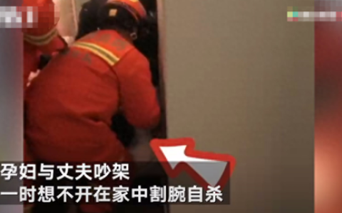 孕妇自杀(孕妇抑郁)