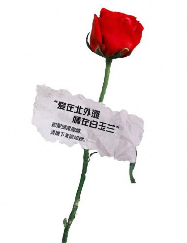虹口区单身相亲排名前十(45岁单身大龄剩女相亲)插图5