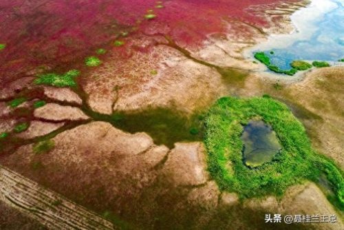 盐城水域排名前十(盐城市省内排名)插图7