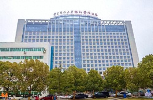 湖北排名前十医院(宜昌十大黑心医院名单)插图