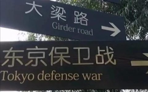青藏铁路英文(青藏火车全程视频)