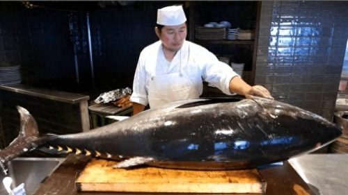 鱼类价格排名前十(食用鱼类价格排行榜)插图7