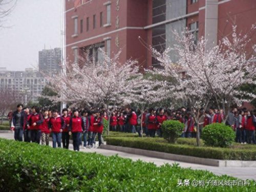 兖州市私立高中排名前十(兖州最好高中)插图4
