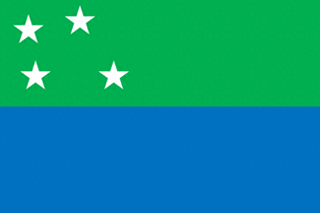 智利国旗(各国国旗)插图7