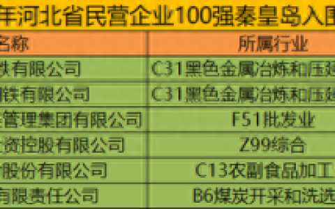 秦皇岛排名前十企业(秦皇岛市企业最好的有哪家)