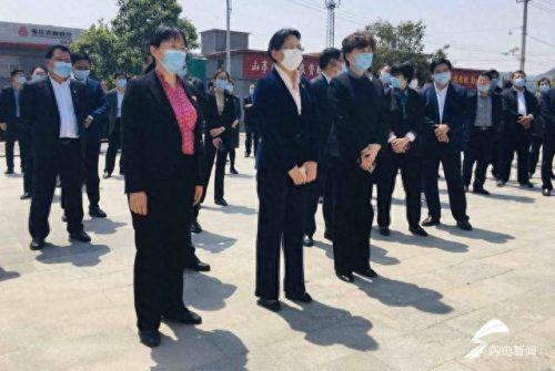 山亭公社网(山亭公社图片)插图
