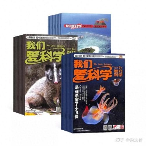 初中作文杂志排名前十(写人作文600字范文初中)插图6
