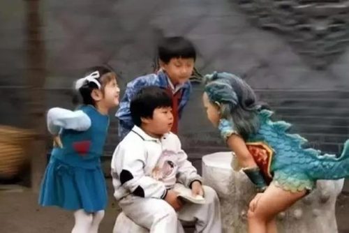北京卫视主持人陈晨(陈晨个人简介)插图