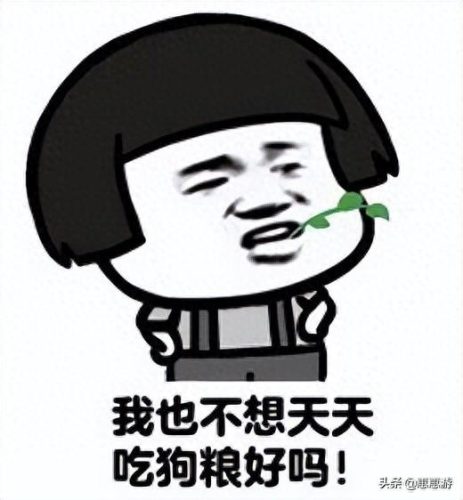 前海露营餐厅排名前十(尘隐露营餐厅)插图