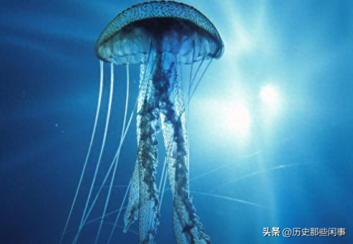 世界前十毒物排名(世界大宗商品前十排名)插图3