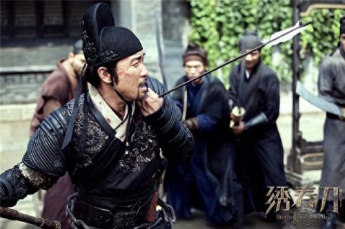 排名前十大武侠电影有哪些(中国的十大武侠电影排行榜)插图10