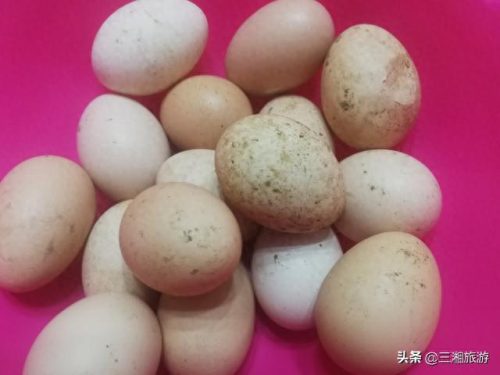 云雾庄园(逆水寒庄园云雾怎么不显示出来)插图27