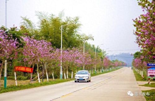 市区最美公路排名前十(金华最美自驾公路排名)插图3