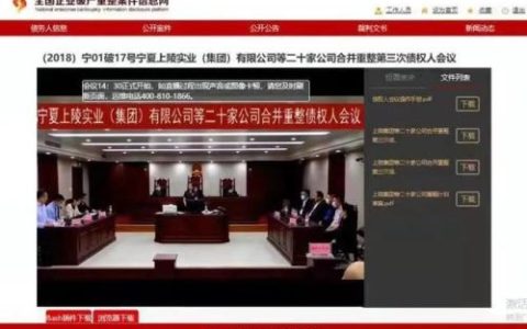 宁夏关联企业排名前十(宁夏国资委下属企业名单)
