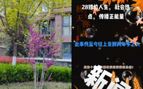 夏河博客(夏河闫军违法案件)