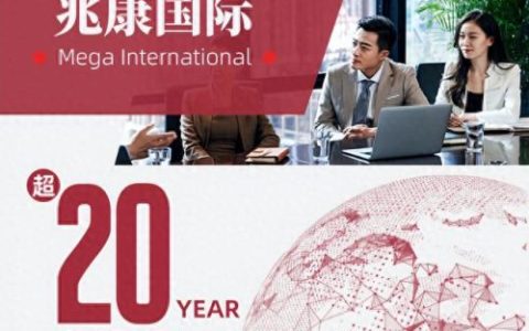 移民公司排名前十(国内移民公司排行榜)