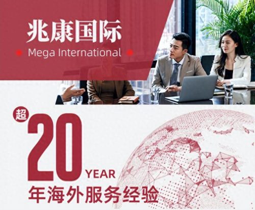 移民公司排名前十(国内移民公司排行榜)插图