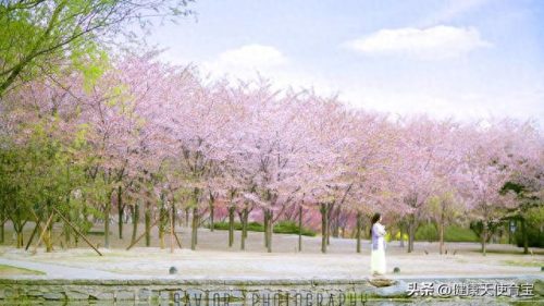 20在古代是什么日子(古代30日叫什么)插图