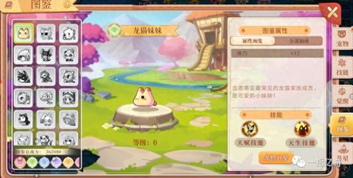 彩虹岛修改密码(彩虹岛脚本怎么做)插图11