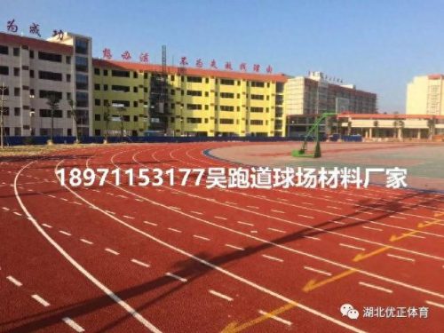 标准的田径跑道(亚运会田径跑道)插图