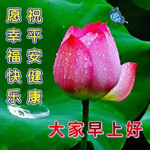 心存感恩图片(感恩图片)插图7