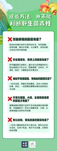 毒米线(毒面筋毒米线新闻)插图7