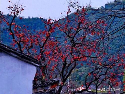 江苏篮球最好成绩排名前十(篮球全国排名第几)插图5