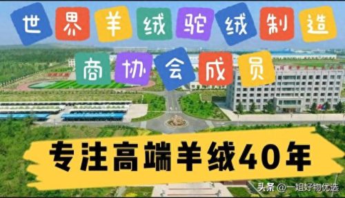 排名前十围巾品牌(女品牌围巾排行榜前十名)插图1