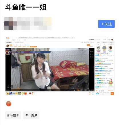 斗鱼兰总(斗鱼阿科兰总)插图