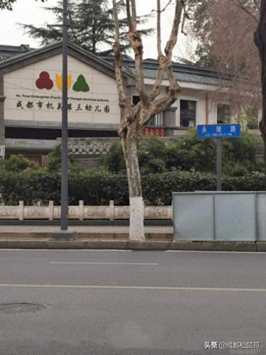 成都幼儿园中小学排名前十(成都高新区小学前30名排名)插图9