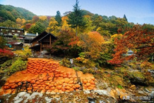 银杏景点排名前十(中国十大银杏景区)插图27