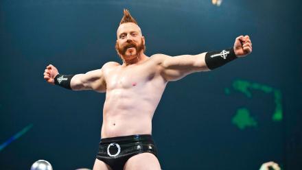 wwe排名前十巨星(wwe十位最伟大的巨星)插图6