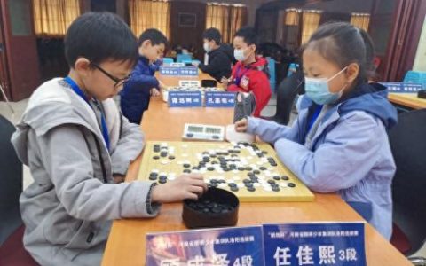 围棋排名前十的学校(北京围棋学校排名)