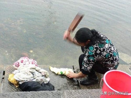 棒槌会是什么意思(你是个棒槌什么意思)插图