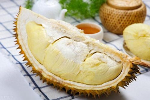 云南榴莲品种排名前十(榴莲品种十大排行榜)插图3
