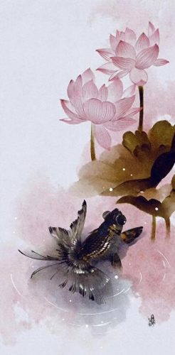 鱼鱼桌面秀(鱼鱼桌面秀侧边栏)插图50
