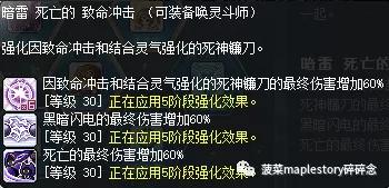 冒险岛唤灵斗师技能加点(冒险岛唤灵斗师能力值分配)插图12