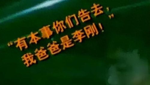 李刚岳父(李启铭父亲李刚央视采访)插图10