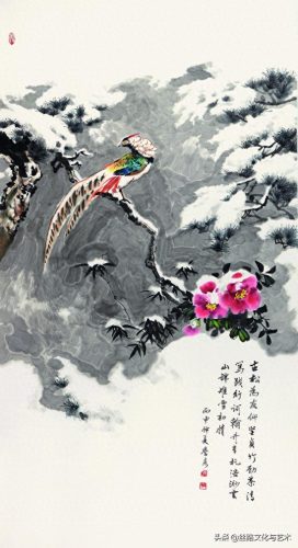 白腹凯克鹦鹉(凯克多少钱一只)插图9