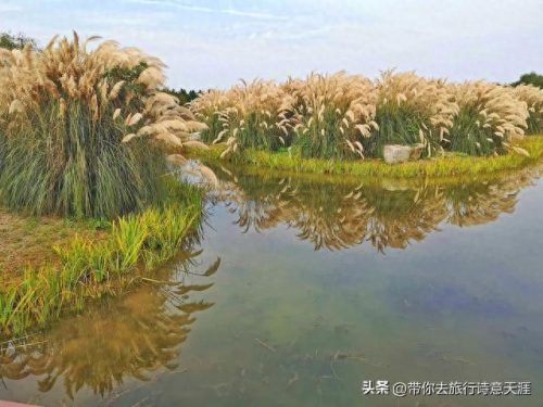 高邮景点排名前十(高邮市景点排名)插图8