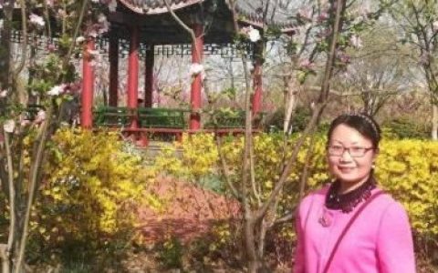 弄花香满依(掬水月在手弄花香满衣)