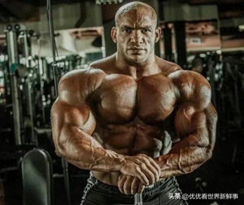 世界健美排名前十(世界上最健美的人)插图1