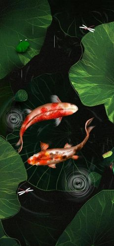 鱼鱼桌面秀(鱼鱼桌面秀侧边栏)插图116