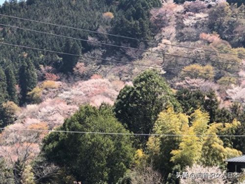 日本遗产排名前十(日本第一遗产在哪里)插图18