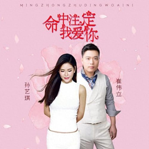 命中注定我爱你歌曲(命中注定我爱你40集完整版陈乔恩)插图