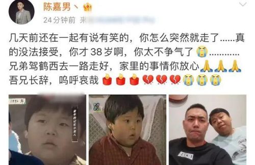 北京卫视主持人陈晨(陈晨个人简介)插图8