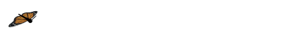 铺十里红妆可愿(十里繁花十里红妆)插图1