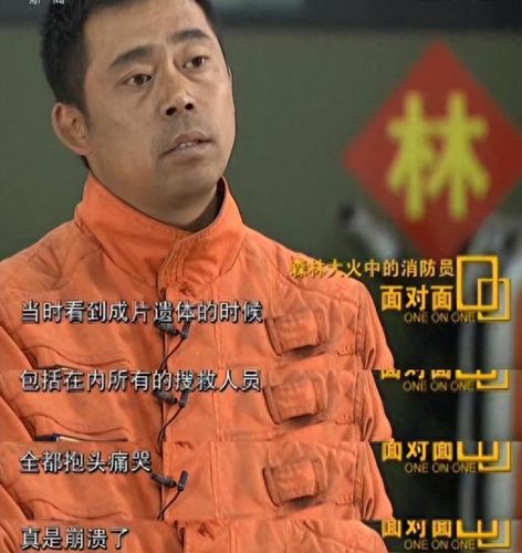 cctv2主持人(cctv2主持人全部名单)插图41